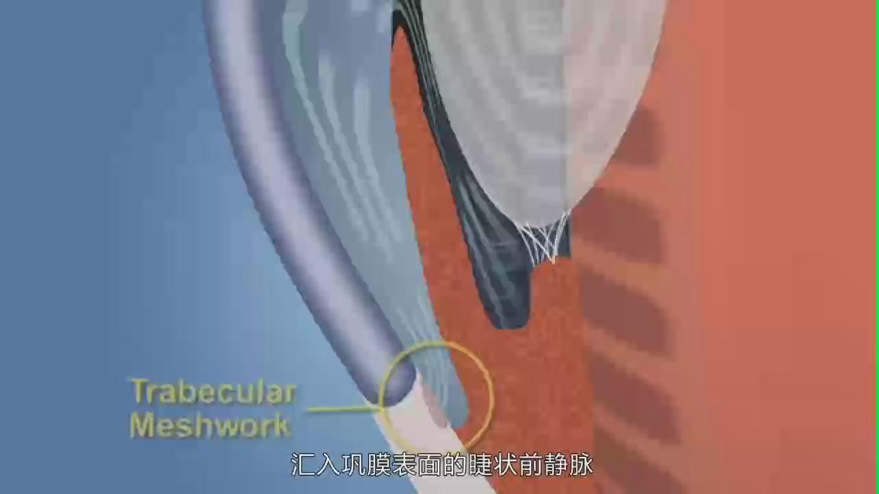 &#31859;&#20848;&#24179;&#21488;&#45;&#31859;&#20848;&#77;&#73;&#76;&#65;&#78;&#40;&#20013;&#22269;&#41;