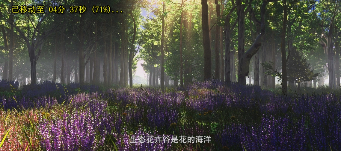 &#31859;&#20848;&#24179;&#21488;&#45;&#31859;&#20848;&#77;&#73;&#76;&#65;&#78;&#40;&#20013;&#22269;&#41;